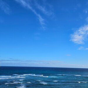 I'm here poshing for the fun of it, and to help my items find new homes 💜